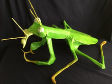 Load image into Gallery viewer, Lovers?