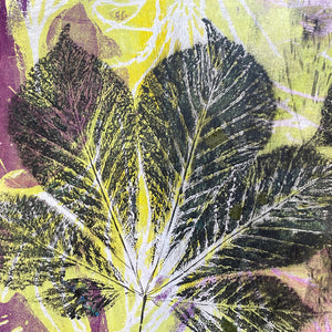 Horse Chestnut Leaves