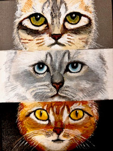 The Eyes Have It!
