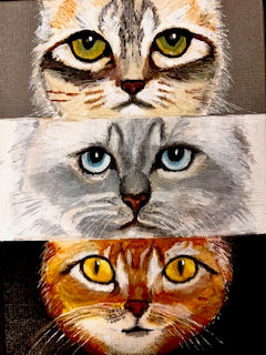 The Eyes Have It!