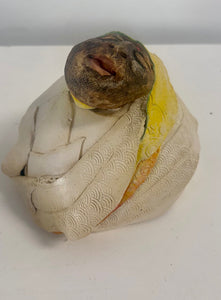 FACE 5