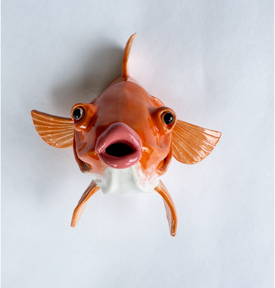 Gracie Goldfish
