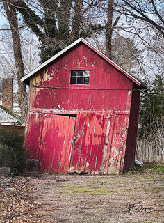 The Old Shed