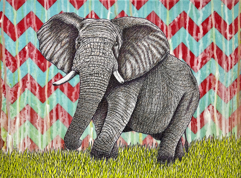 Elephant