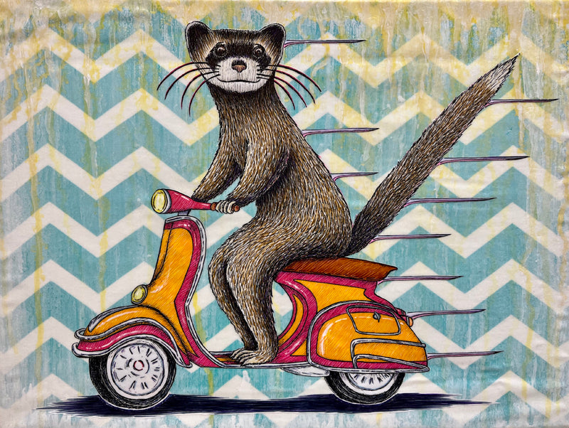 Ferret on a Vespa