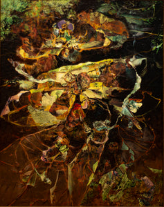 Insect