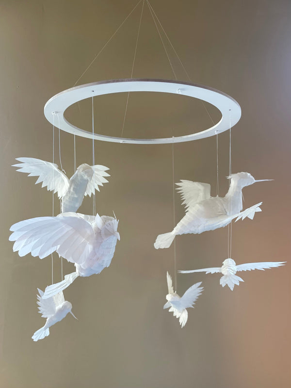Flight