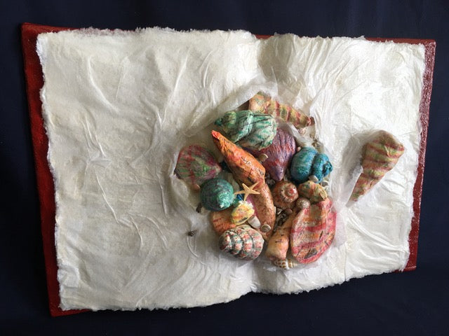 Kya's Shell Book