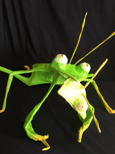 Load image into Gallery viewer, Lovers?
