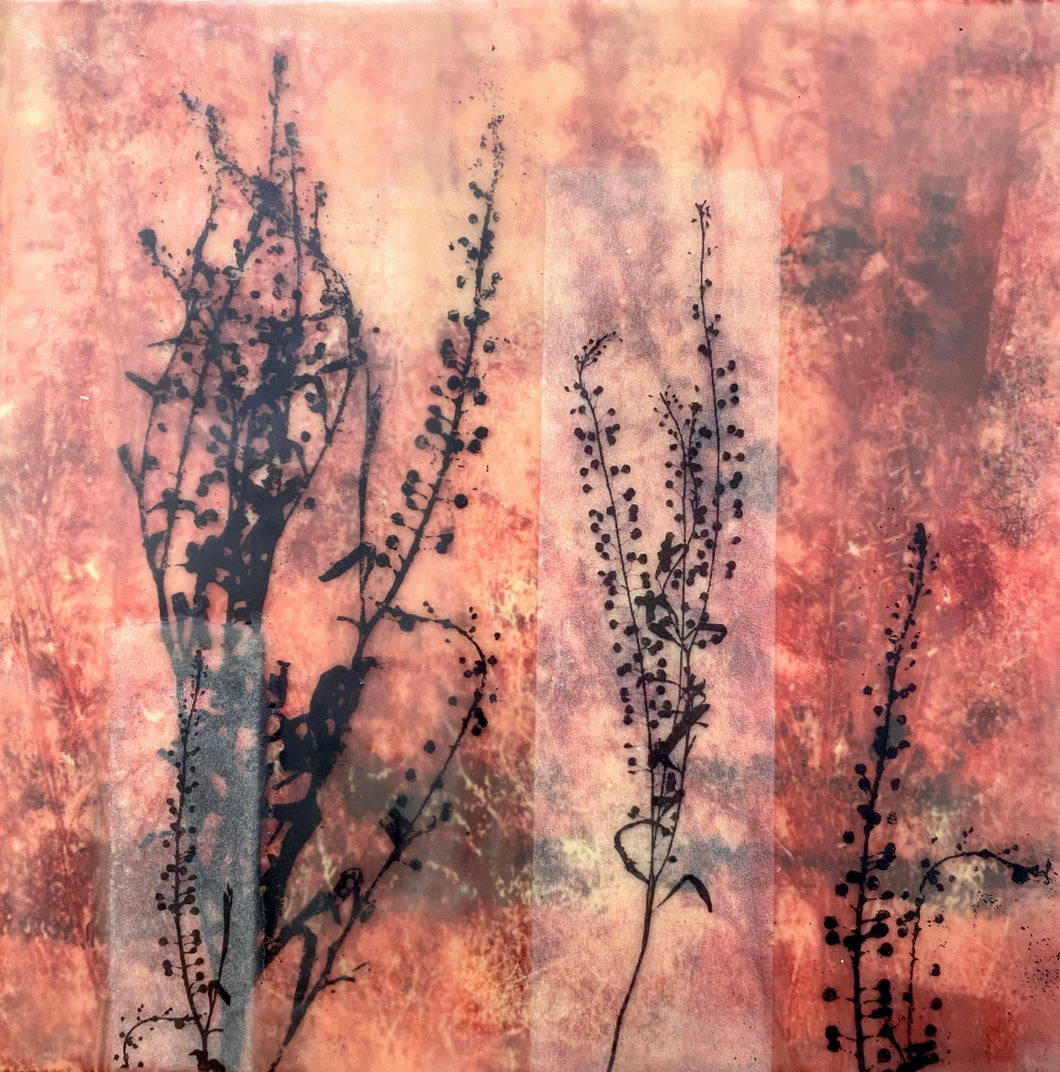 Pepper Grass