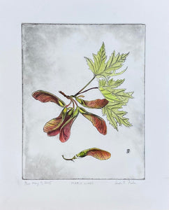 Maple Wings