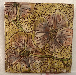 Nasturtium Garden