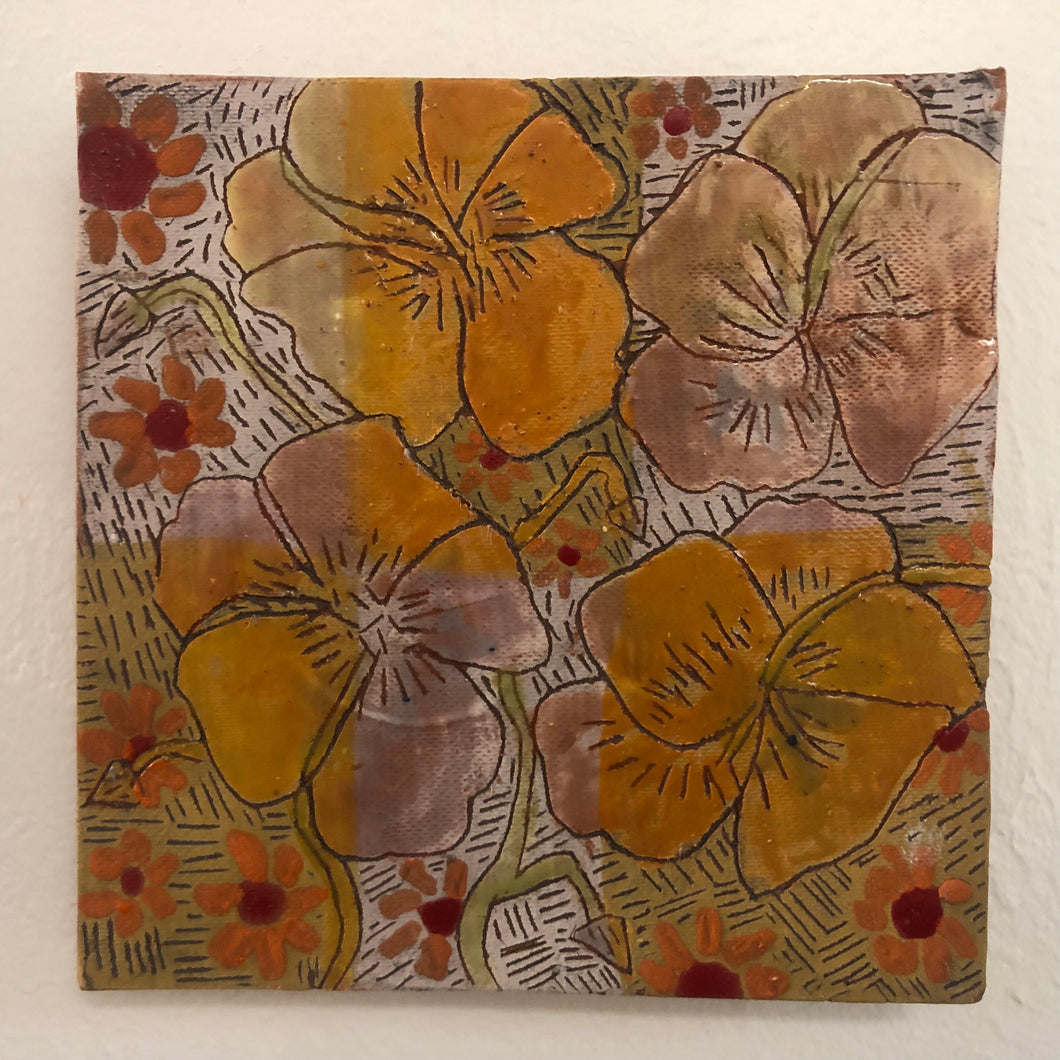 Patchwork Nasturiums