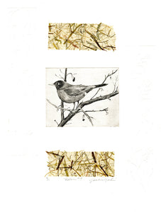 Robin #9