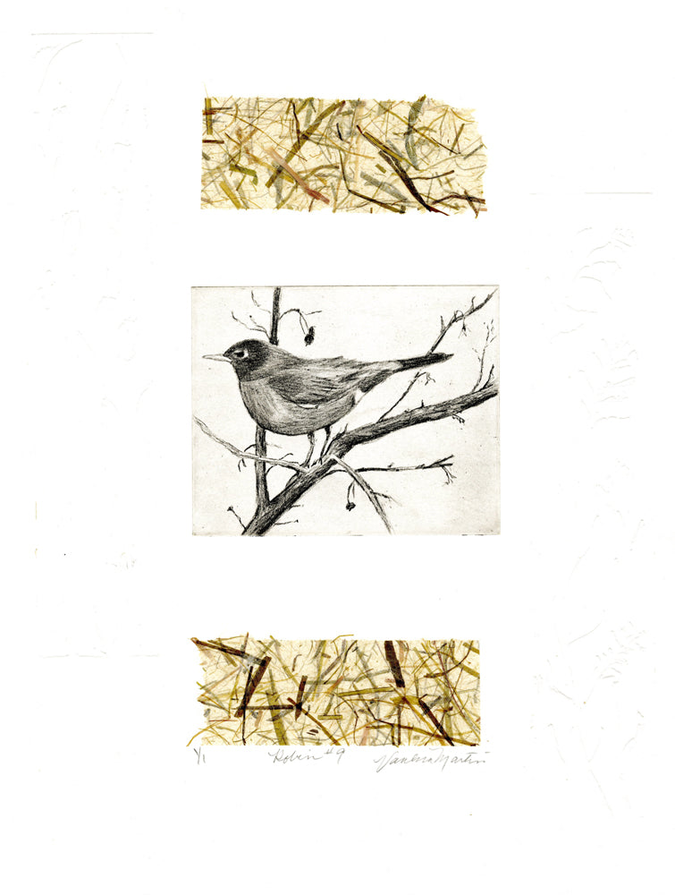 Robin #9