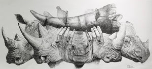 The Price of a Horn
