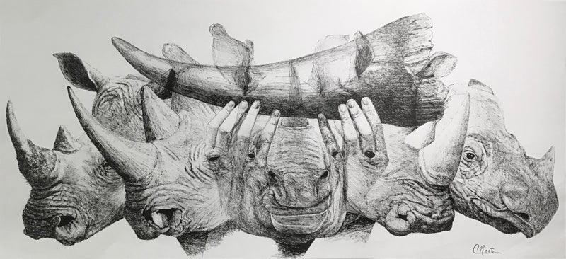 The Price of a Horn