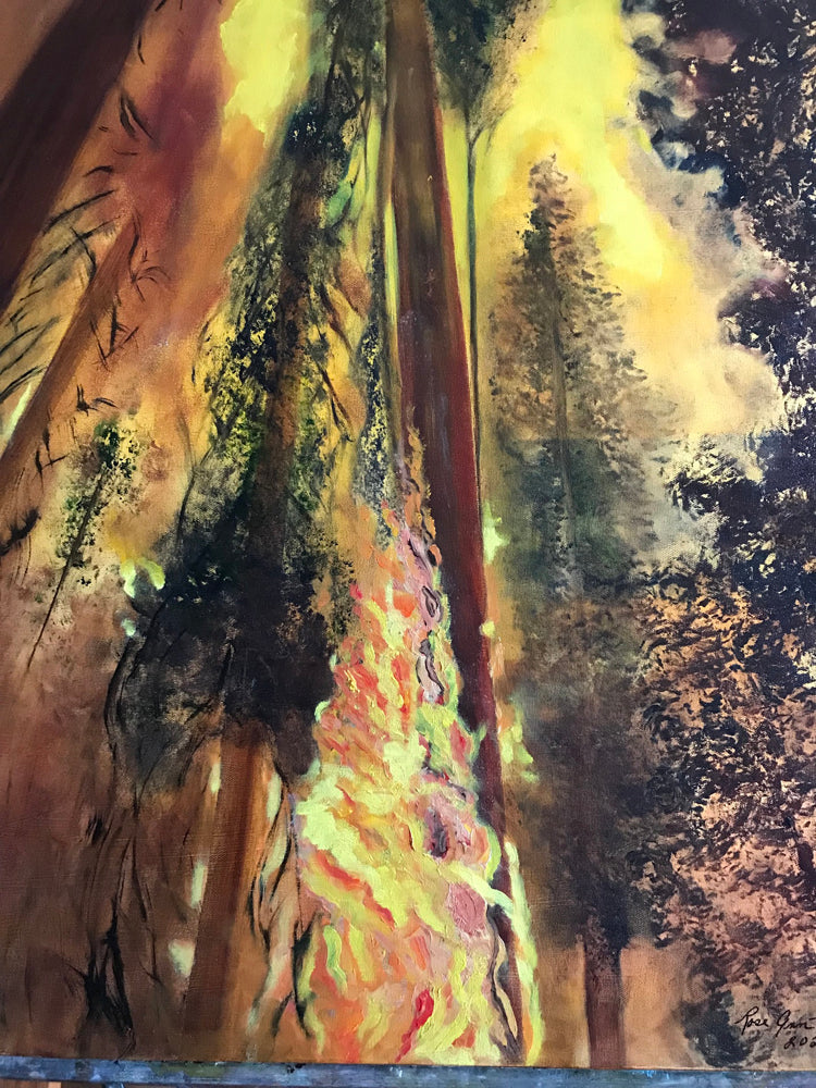 Catastrophic fires in the Redwood Forest of CA