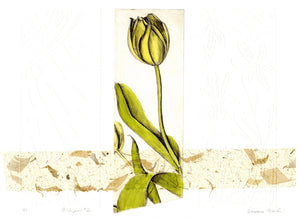 Tulips #2